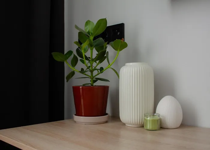 Modern With Ac, Dishwasher And Walk-in Closet * Riga