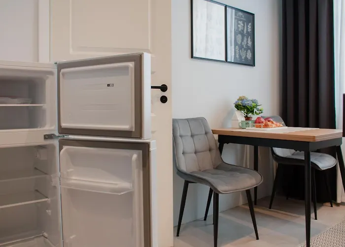 Modern With Ac, Dishwasher And Walk-in Closet Riga